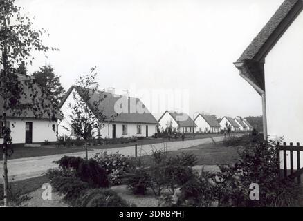 Am 11. Oktober 1948 verfügt ein Stadtteil in Emmen, Niederlande, über neu gebaute Doppelhaushälften (zwei unter einem Dach). Das Gebiet zeigt fertiggestellte Häuser mit gemeinsamen Mauern, Auffahrten und Vorgärten, die beispielhaft für den Wiederaufbau von Wohnhäusern aus der Nachkriegszeit sind. Die Architektur reflektiert das niederländische Wohndesign aus der Mitte des 20. Jahrhunderts und betont eine effiziente Landnutzung und Vorstadtplanung nach der Zerstörung des Zweiten Weltkriegs. Stockfoto