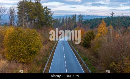 Landstraße in bunten Laubwald aus der Vogelperspektive Stockfoto