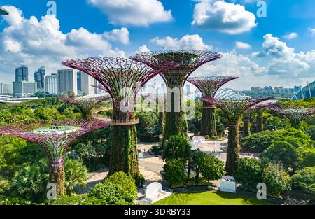 Blick auf Gardens by the Bay und Marina Bay Sands in Singapur Stockfoto
