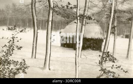 Das Bild „Witte Wade“ von Adriaan Boer aus der Zeit um 1923 zeigt eine verschneite Landschaft in der Nähe von Warnsborn, Arnheim, in den Niederlanden. Der Druck ist ein Pygmo-Überdruck auf sehr dünnem japanischem Papier, der schneebedeckte Bäume und Boden betont. Die Szene fängt die Winterumgebung der Arnheimer Region ein, einschließlich subtiler Details von gefrorenem Boden, blattlosen Bäumen und Schneestrukturen, die niederländische ländliche Landschaften des frühen 20. Jahrhunderts veranschaulichen. Stockfoto