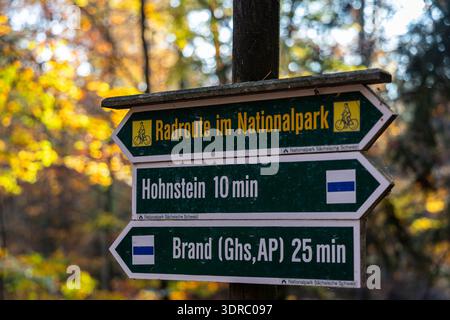 Herbsteindrücke aus der Sächsischen Schweiz Stockfoto