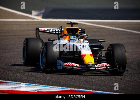 Bahrain, Bahrain. Februar 2026. 41 Arvid Lindblad, (GRB), Visa CashApp Racing Bulls, VCARB 03 Red Bull-Ford, Formel-1-Weltmeisterschaft 2026 Bahrain 18-20 Februar 2026 Credit: Independent Photo Agency/Alamy Live News Stockfoto