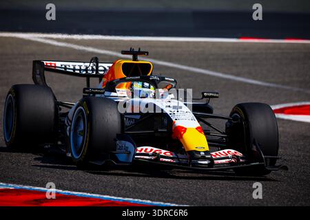 Bahrain, Bahrain. Februar 2026. 41 Arvid Lindblad, (GRB), Visa CashApp Racing Bulls, VCARB 03 Red Bull-Ford, Formel-1-Weltmeisterschaft 2026 Bahrain 18-20 Februar 2026 Credit: Independent Photo Agency/Alamy Live News Stockfoto