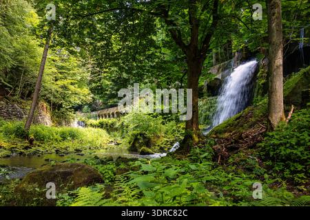 Altes Wasserkraftwerk Niezelgrund Wasserfall Lohmenschlucht Stockfoto