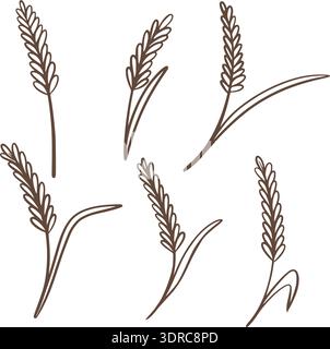 Spikelets von Getreidepflanzen im Doodle-Sketch-Stil. Reife Maisohren mit Körnern. Roggen, Weizen, Hafer, Reis, Gerste, Hirse. Vektorgrafiken Stock Vektor