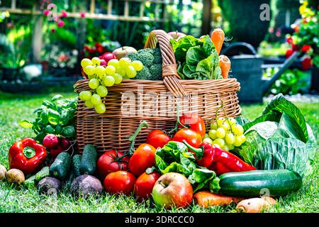 Korb mit Gemüse und Obst im Garten. Ausgewogene Ernährung Stockfoto