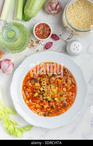 Hausgemachte dicke Suppe mit frischem Gemüse (Zucchini, Auberginen, Karotten, Zwiebeln, Knoblauch, Sellerie, Paprika, Tomaten), Teigwaren (Orzo, Stockfoto