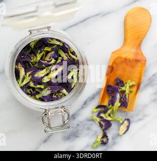 Trockener blauer Bio-Anchan Stockfoto