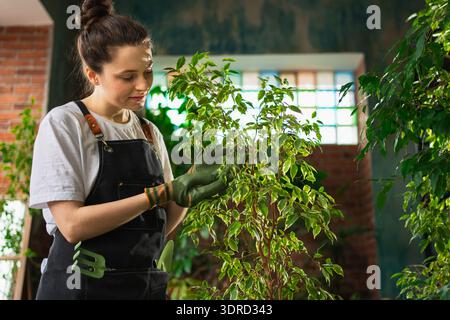 Eigene Geschäfte führen. Floristin mit Schürze, die sich um grüne Pflanzen im botanischen Laden kümmert. Glücklicher Besitzer eines kleinen Unternehmens Stockfoto