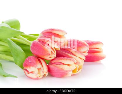 Farbenfrohe Tulpenbänke Stockfoto