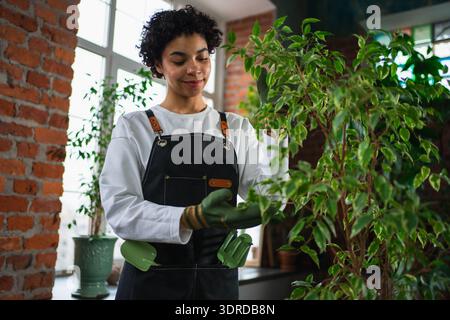 Eigene Geschäfte führen. Afrikanische Floristin mit Schürze, die sich um Pflanzen im botanischen Laden kümmert. Glückliche Kleinunternehmer Stockfoto