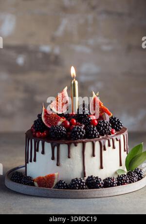 Hausgemachter Mousse-Kuchen mit Früchten, Beeren und Schokolade. Brombeeren, Feigen und Preiselbeeren. Cheeseca Stockfoto