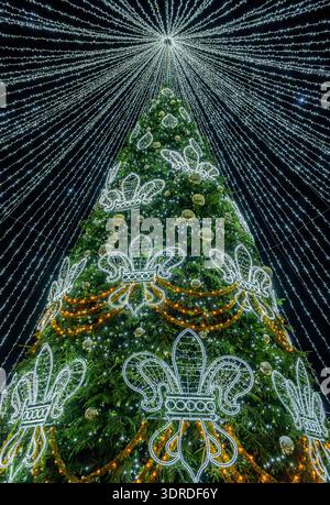 Beleuchteter Weihnachtsbaum mit festlichen Lichtern bei Nacht Stockfoto