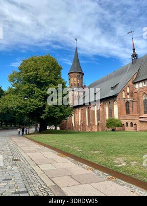 Die historische Königsberger Kathedrale auf der Insel Kant in Kaliningrad, Russland, ist ein berühmtes gotisches Wahrzeichen an einem sonnigen Tag. Stockfoto