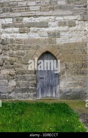 Alte Holztür in einer Steinmauer, Teil einer gotischen Kirche, umgeben von Moos und Gras Stockfoto