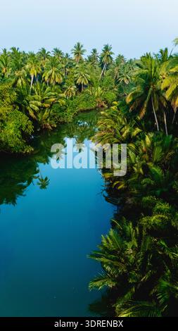 Ruhiger Fluss, der sich an einem sonnigen Tag durch üppige Palmen in Chumphon, Thailand, schlängelt Stockfoto