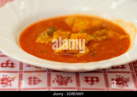 Nahaufnahme einer Suppe auf Tomatenbasis mit Nudelknödeln in einer weißen Schüssel auf einer gemusterten Tischdecke, warmes rustikales Menü-Konzept. Stockfoto
