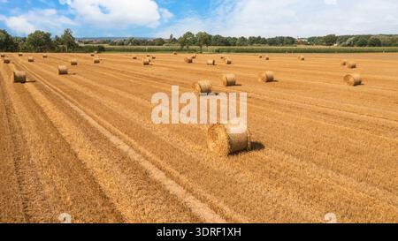 Ein Farmfeld nach der Ernte mit Heuhaufen an einem sonnigen augusttag. Panoramablick auf die Drohne mit Kopierraum. Naturlandschaft Stockfoto