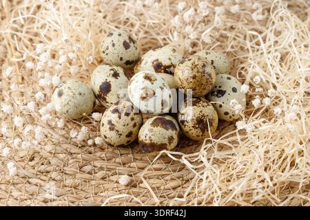 Wachteleier und weiße getrocknete Blüten auf Heu-Hintergrund. Mockup-Grußkarte, osterpostkarte oder osterdekoration im Retro-Stil mit Kopierraum Stockfoto
