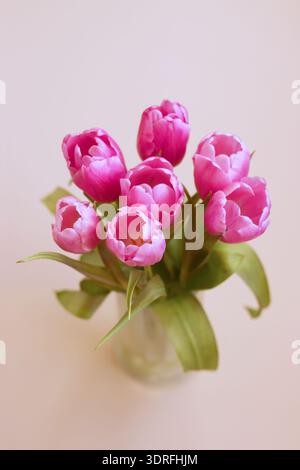 Pinkfarbenes Tulpenstrauß in Glasvase Stockfoto
