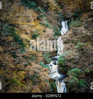 Langer Wasserfall, der durch den Herbstwald in Wales fließt Stockfoto