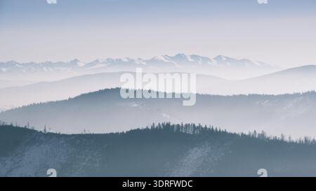 Weites Winterpanorama in Beskid Zywiecki mit weit entfernten Tatra-Gipfeln und mehrschichtigen Waldkämmen, die in Dunst verschwinden. Stockfoto