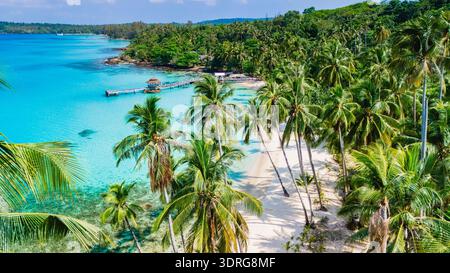 Atemberaubender tropischer Strand gesäumt von Palmen und klarem türkisfarbenem Wasser in einem ruhigen Paradies Stockfoto