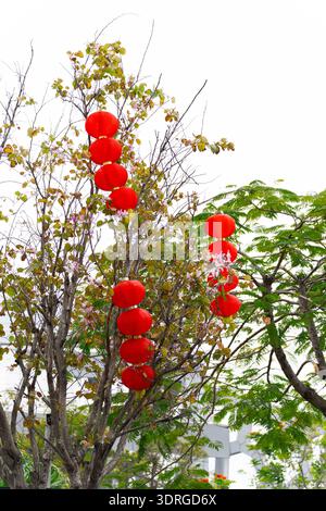 Rote chinesische Laternen hängen an Ästen im Garten, traditionelle festliche Dekoration unter bewölktem Himmel Stockfoto