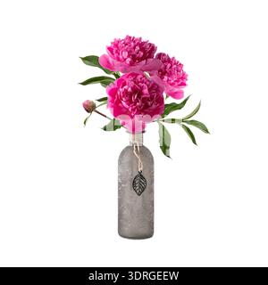Schöner rosafarbener magentafarbener Blumenstrauß von Pfingstrosenblüten in Vintage-grauer Glasvase-Flasche isoliert auf weißem Hintergrund. Inneneinrichtung und Gartenblumen. Stockfoto