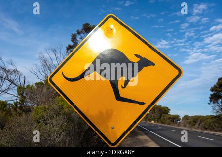 Känguruüberquerung Warnschild entlang einer Landstraße, Australien Stockfoto