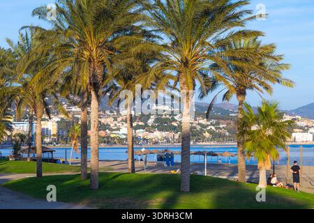 Malaga, Spanien – 11. Februar 2020: Üppig grüne Palmen in einem Park bieten einen malerischen Blick auf den Sandstrand von Malagueta und das Mittelmeer mit dem Andalusi Stockfoto