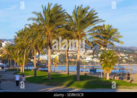 Malaga, Spanien – 11. Februar 2020: Die Menschen können morgens durch den Palmenpark neben dem Strand von Malagueta joggen, mit städtischen Gebäuden und Küstenbergen Stockfoto