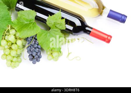 Jede Menge rote und weiße Trauben und Wein in Flaschen. Isoliert auf weißem Hintergrund mit Textfreiraum Stockfoto