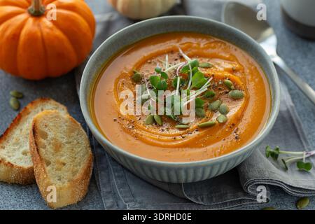 Köstliche Kürbiscremesuppe in grauer Schüssel, serviert mit Kürbiskernen und Mikrogrün, grauer Hintergrund Stockfoto