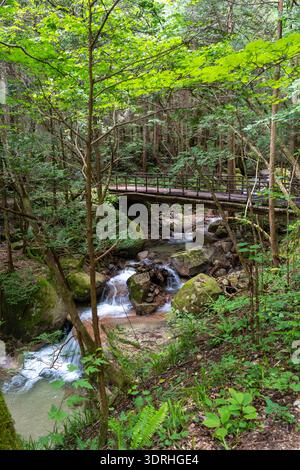 Brücke über den Fluss auf dem Nakasendo Trail, Japan Stockfoto