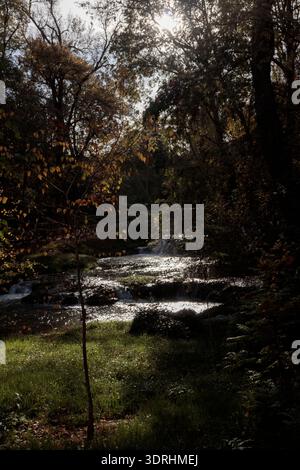 Sonnenstrahlen beleuchten einen kaskadierenden Bach in einer herbstlichen Waldlichtung mit einer Brücke in der Ferne Stockfoto