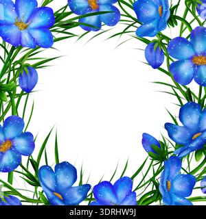 Quadratischer Rahmen mit Leberblüte, Leberkraut, Blumenpflanze, blühendes Leberblatt Stockfoto
