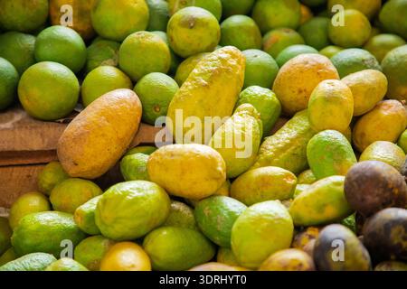 Ein großer Haufen grüner Früchte, Zitronen, Mangos und Guave aus Sri Lanka liegt auf dem Theke eines Gemüsemarktes zum Verkauf Stockfoto