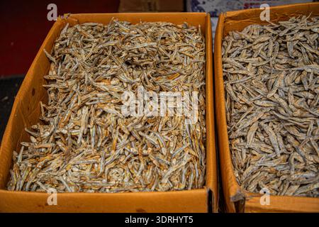 Mehrere Sorten tropischen Gemüses, die ordentlich auf dem lokalen Markt in Sri Lanka verkauft werden. Getrockneter Salzfisch Stockfoto