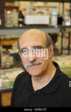 Nobelpreisträger Martin Chalfie, mitentdecker von Green Fluorescent Protein (GFP), im September 2012 in seinem Labor der Columbia University in New York City. Stockfoto