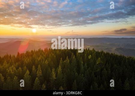 Dunkler Kiefernwald beleuchtet mit heller untergehender Sonne. Aus der Vogelperspektive auf den farbenfrohen Sonnenuntergang in wilden Bergen. Wunderschöne Naturlandschaft Stockfoto