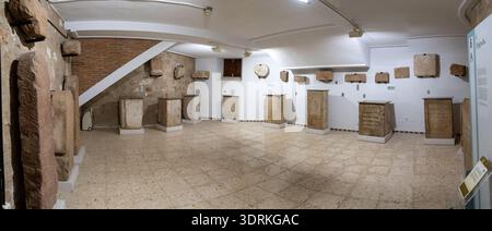 Linares, Spanien 28. Oktober 23: Panoramablick auf eine Lapidariumgalerie mit geschnitzten Steinstelen und Inschriften auf den Sockeln im Museo Arqueológico de Linar Stockfoto