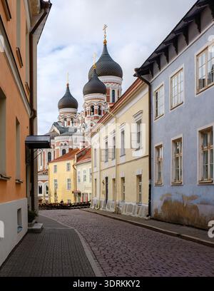 Bezaubernde Kopfsteinpflasterstraße in Tallinn mit farbenfrohen Gebäuden und historischer Architektur Stockfoto