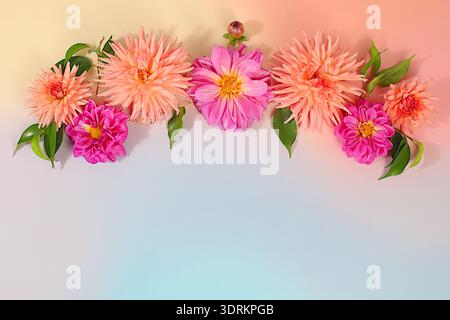 Sonnige Grußkarte mit wunderschönen Dahlienblüten, abstraktem Blumenarrangement und Herbststillleben mit saisonalen Blumen, Rückseite Stockfoto
