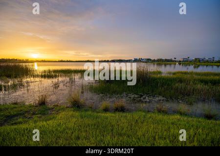 Abendliche Landschaft über dem Seewasser in südlichen tropischen Feuchtgebieten. Fantastische Natur Floridas bei Sonnenuntergang Stockfoto