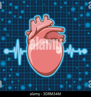 Detaillierte Darstellung eines menschlichen anatomischen Herzens, das mit einer Herzfrequenzlinie oder einem EKG integriert ist. Professionelles medizinisches Design auf weißem Hintergrund, ideal für Stock Vektor