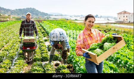 Fröhliche Farmerin posiert auf dem Salatfeld Stockfoto