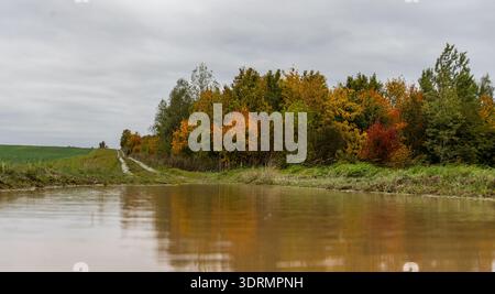 Herbstbesprechung in einer Pfütze Stockfoto