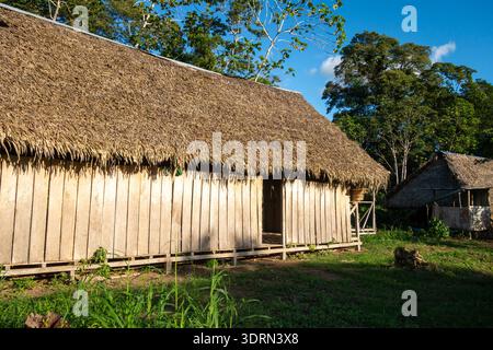 Eine traditionelle strohgedeckte Hütte im indigenen Dorf Siona, eingebettet im Cuyabeno Reservat, Ecuadors Amazonas-Regenwald, Show Stockfoto