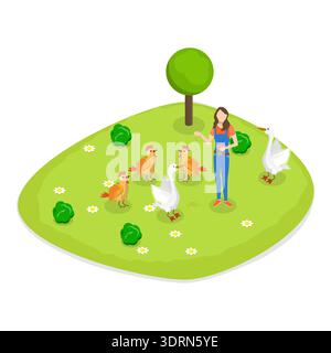 Isometrischer 3D-Vektor-Satz von Farmen Stockfoto